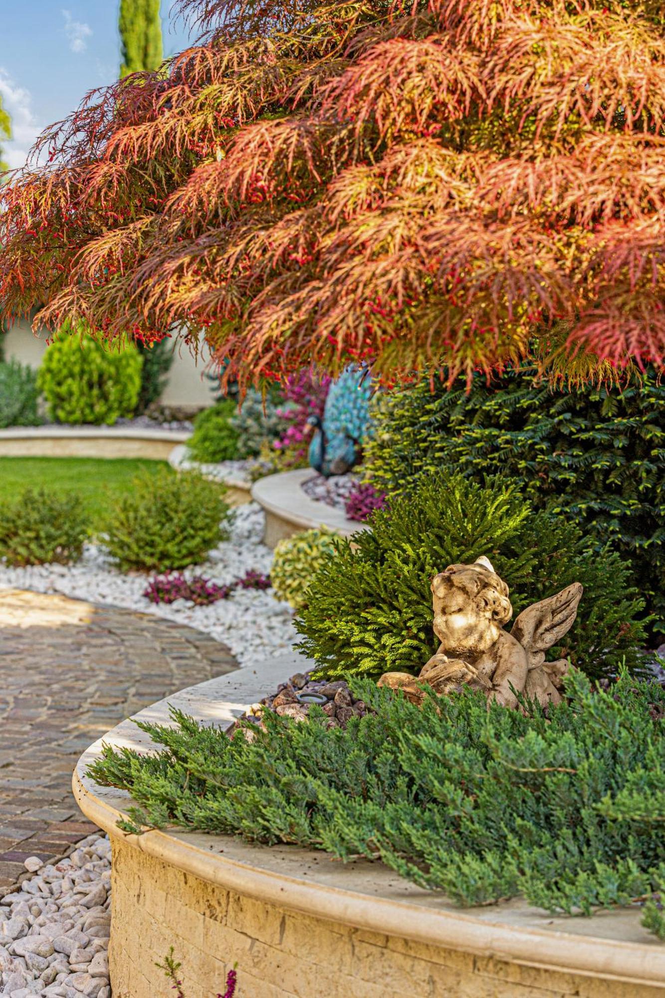 Sika Palladium Garden & Spa Central Apartment Arad Kültér fotó